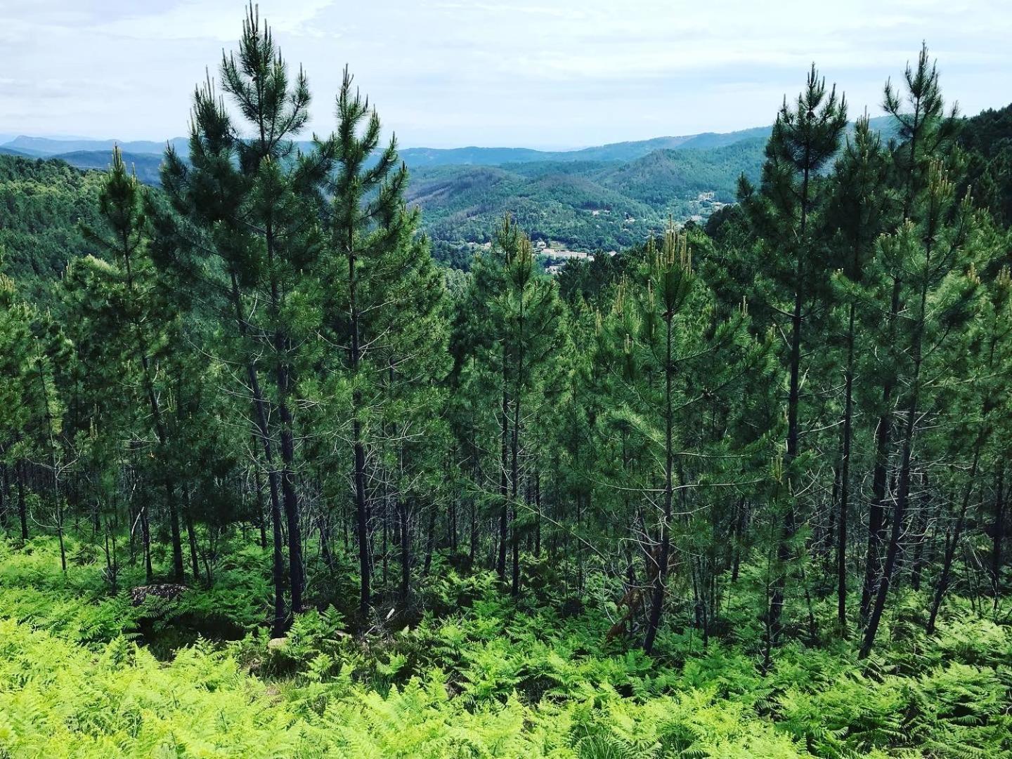 Detente Au Coeur Des Cevennes Besseges Bagian luar foto